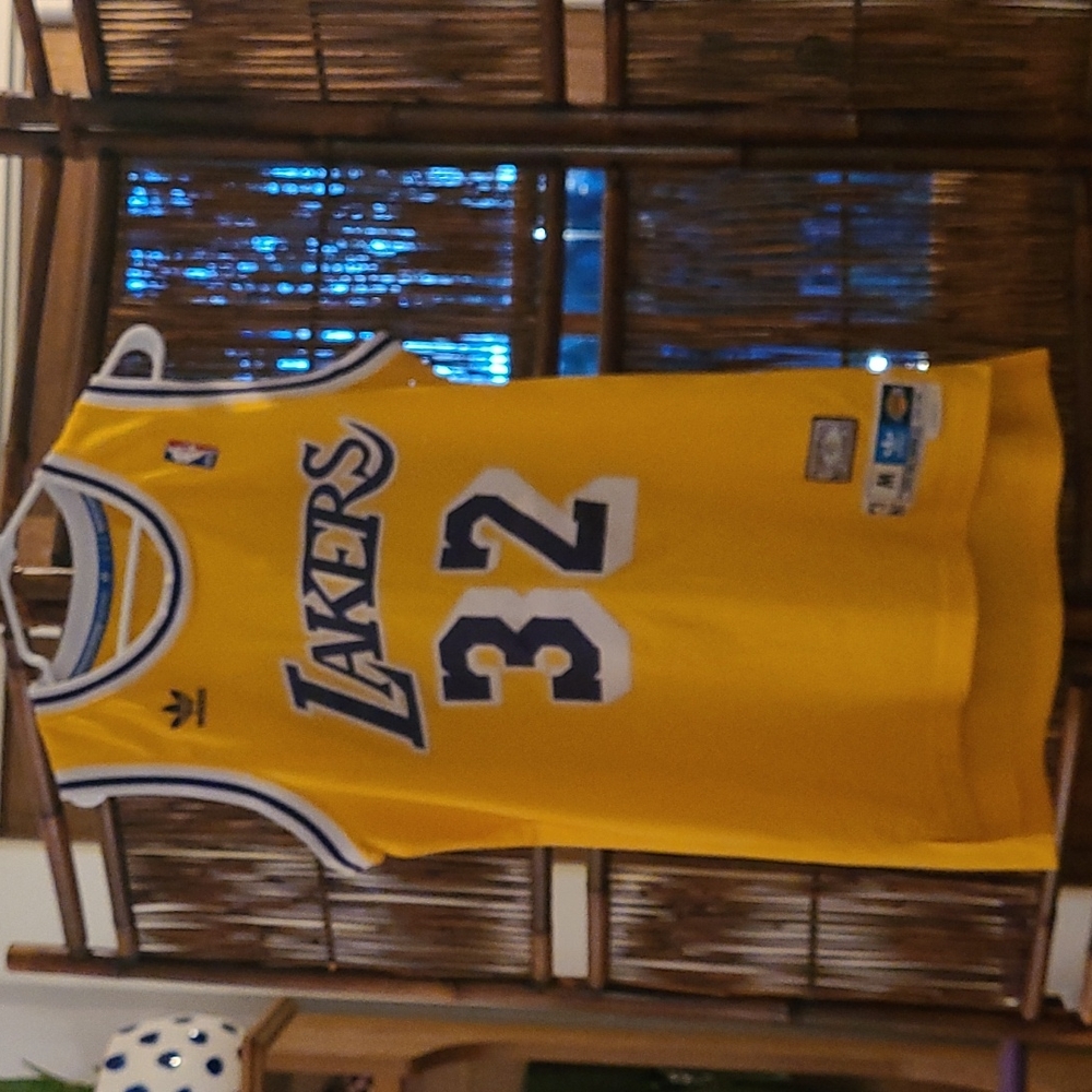 EUC Magic Johnson Adidas Swingman jersey (1979-1980).